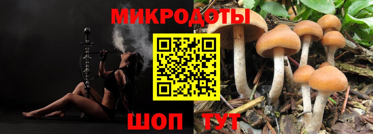 Галлюциногенные грибы MAGIC MUSHROOMS Саратов